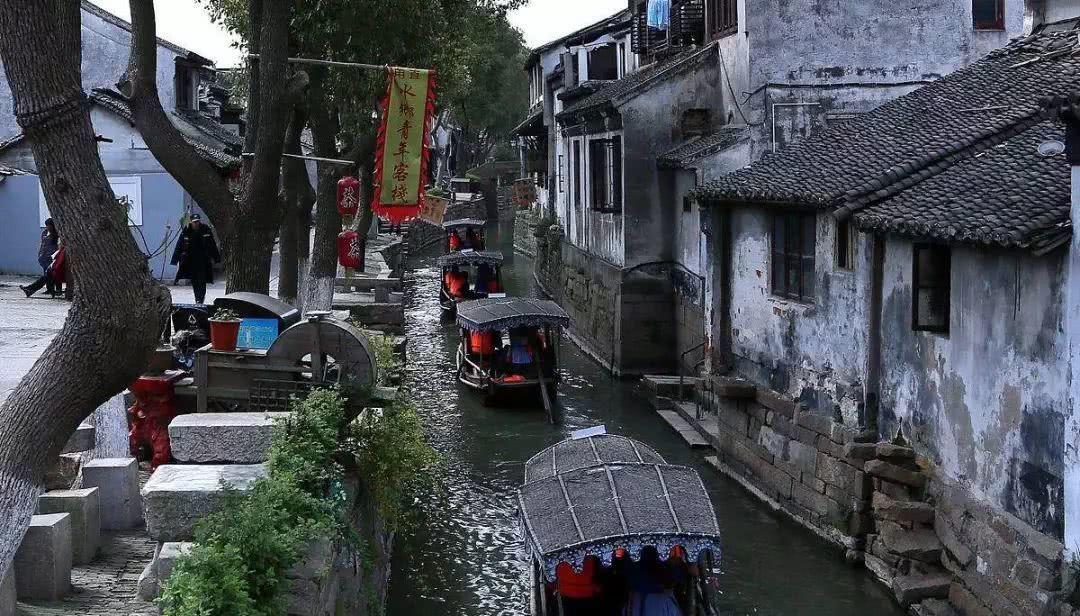 了解鳄龟身上写了阿弥陀佛是什么意思——知识星球平台